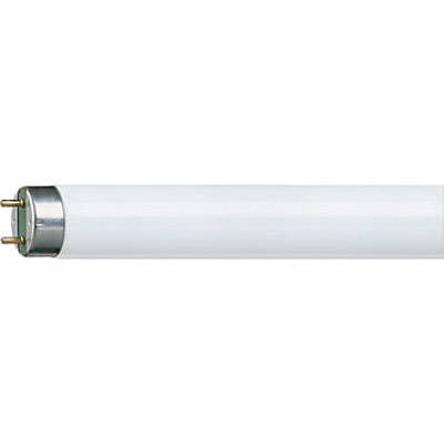 PHILIPS Świetlówka liniowa T8 trzonek G13 4000K 1000lm Master TL-D Super80 15W/840